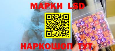apvp Славгород
